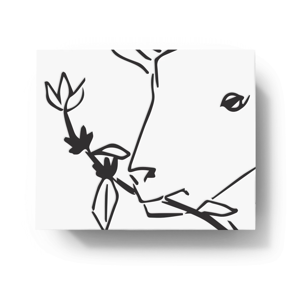 La Cabra Coffee Roasters Las Margaritas 3 La Cabra Coffee Roasters Las Margaritas